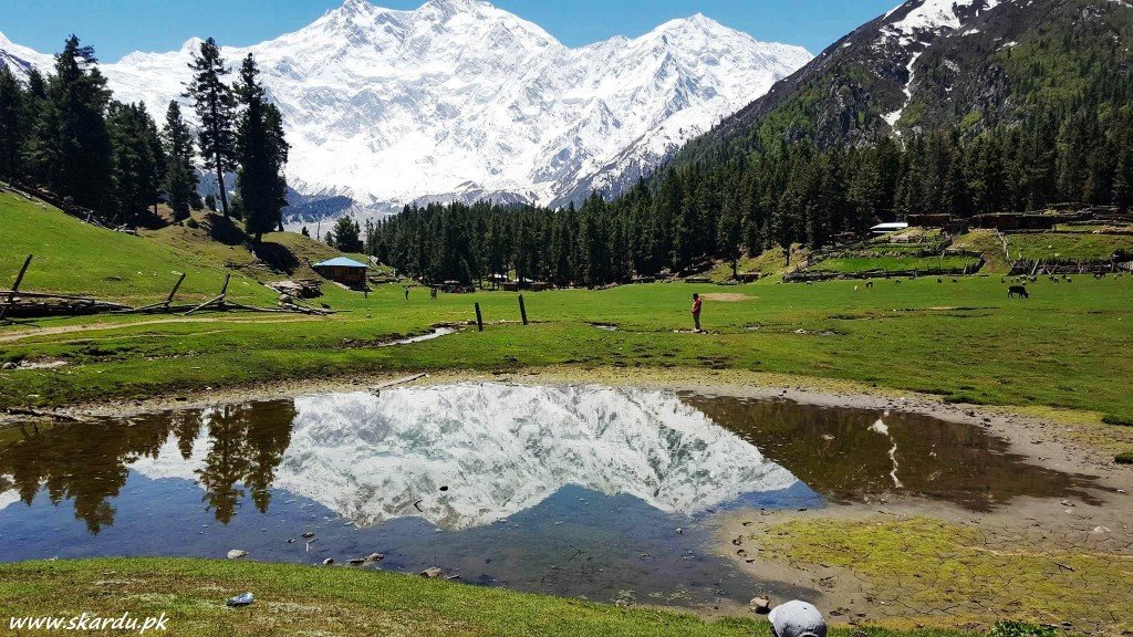 Fairy Meadows 