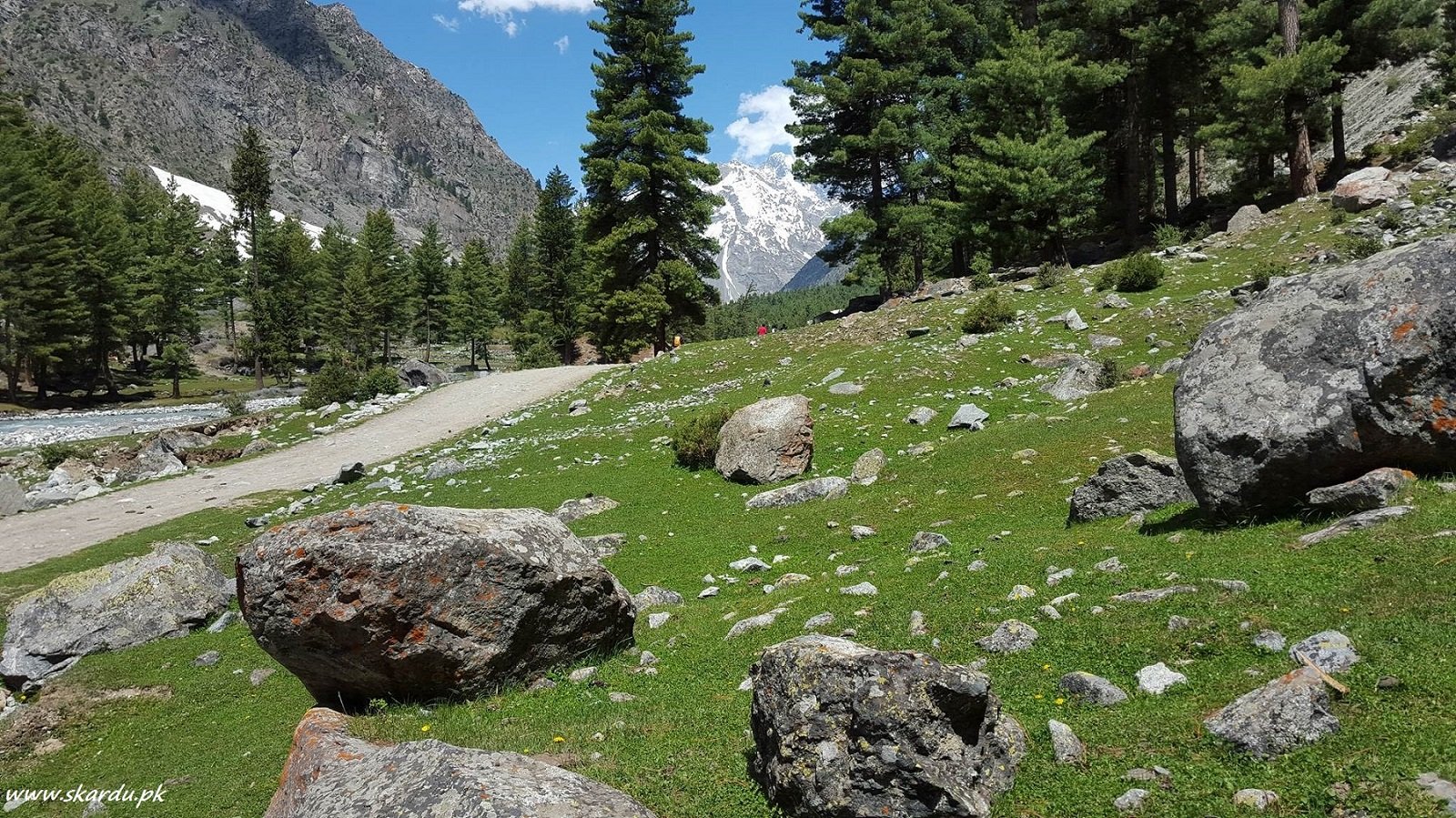 Naltar valley a beautiful place to visit in gilgit
