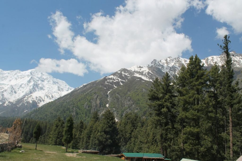 Fairy Meadows