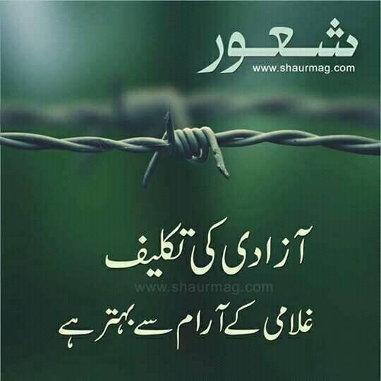Jashn e Azadi Pakistan Independence Day