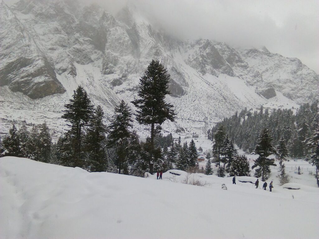 Naltar Valley Snowfall 
